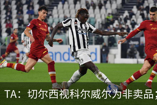 TA：切尔西视科尔威尔为非卖品；马马杜-萨尔内部评价很高